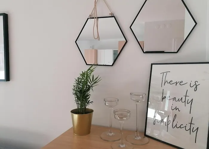 Daire Short & Long Gdynia